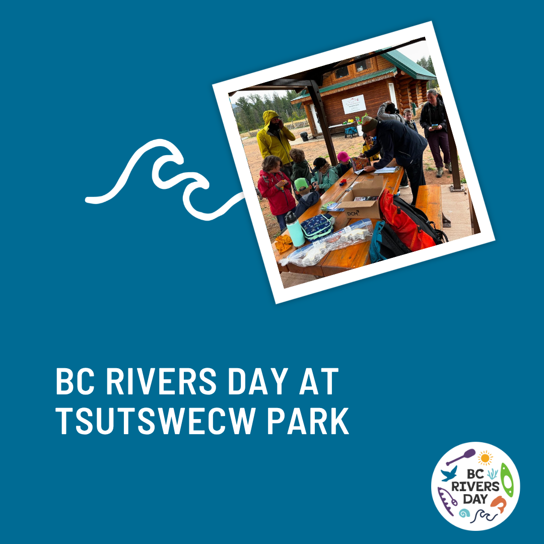 BC Rivers Day At Tsutswecw Park