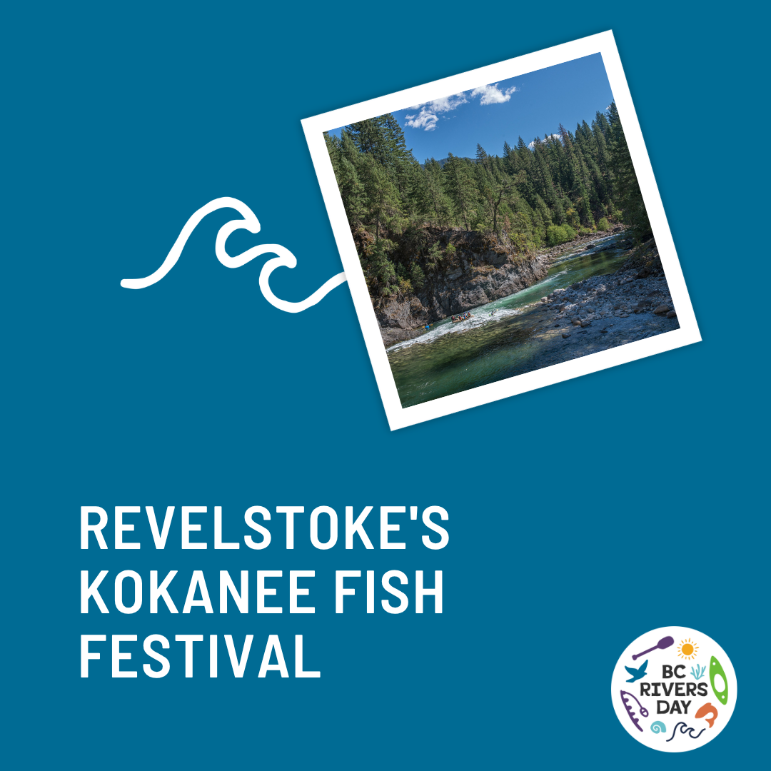 Revelstoke's Kokanee Fish Festival