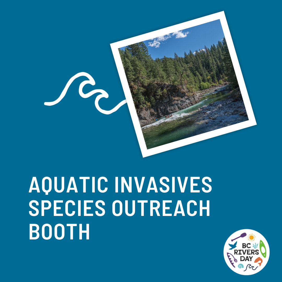 Aquatic Invasives Species Outreach Booth