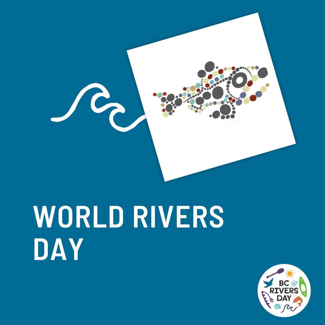 World Rivers Day