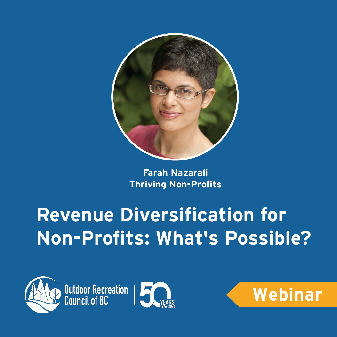 Revenue Diversification for Non-Profits: What's Possible?