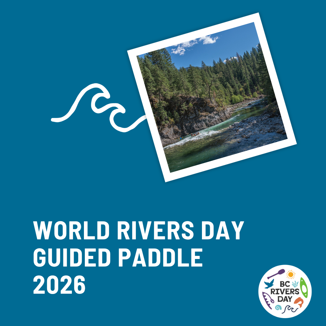 World Rivers Day Guided Paddle 2026
