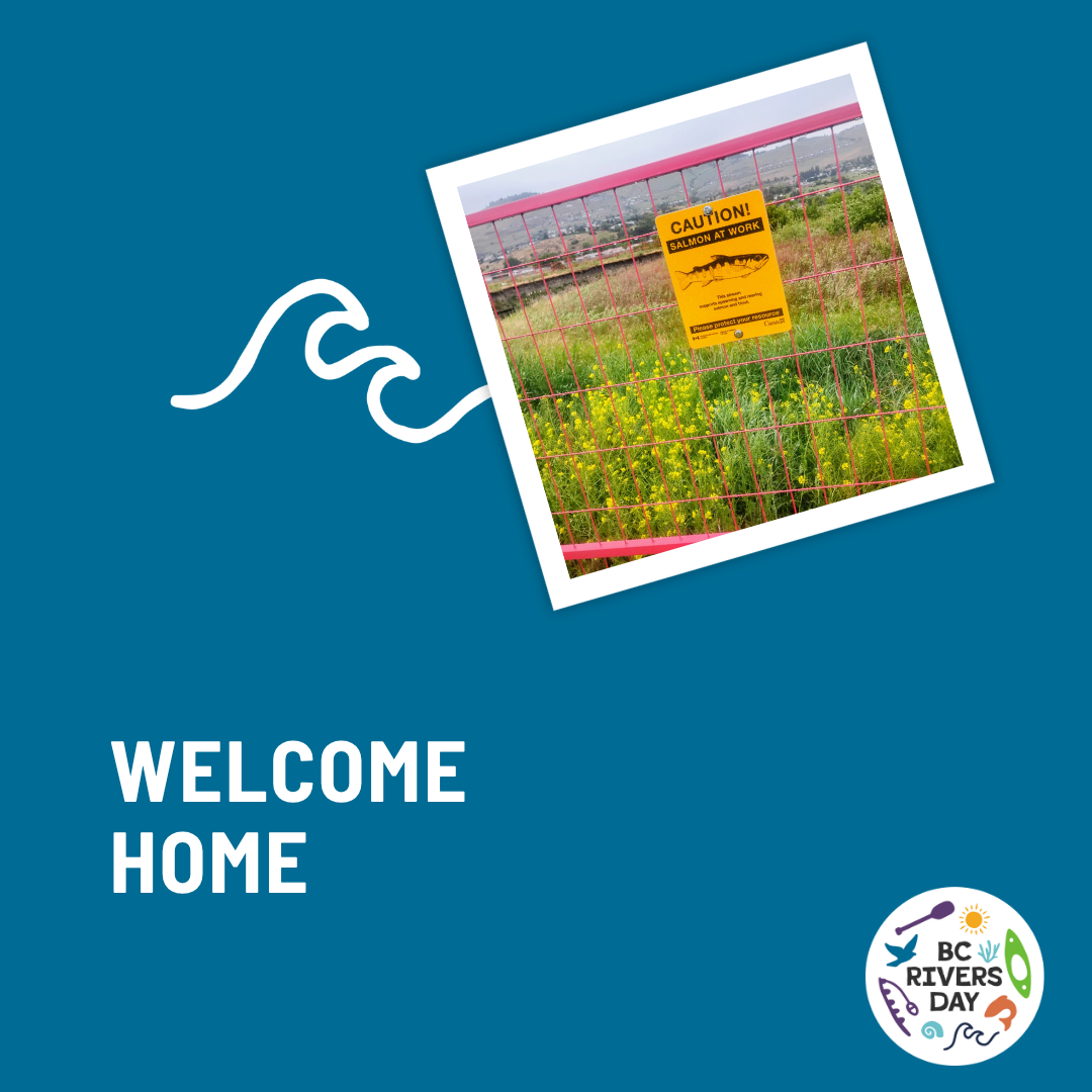 Welcome Home