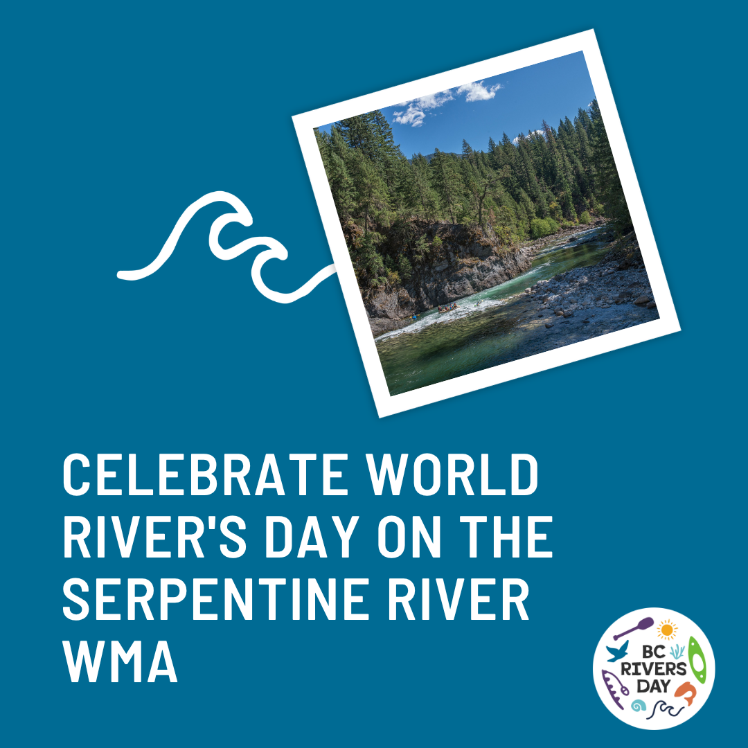 Celebrate World River's Day on the Serpentine River WMA