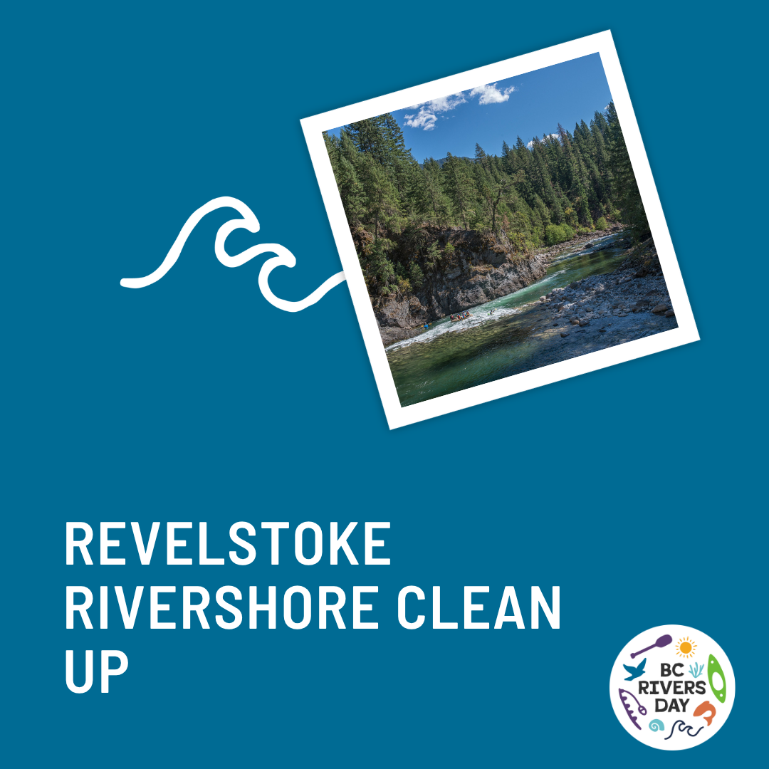 Revelstoke Rivershore Clean Up