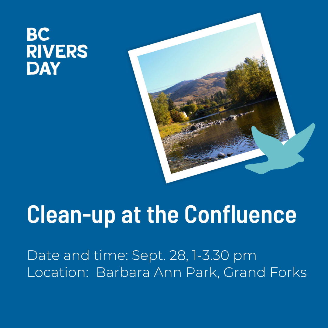 Clean-up at the Confluence