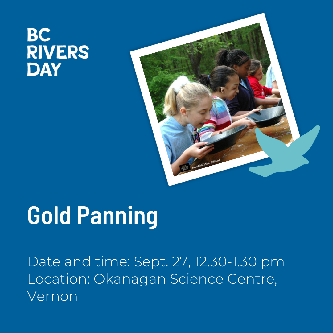 Gold Panning