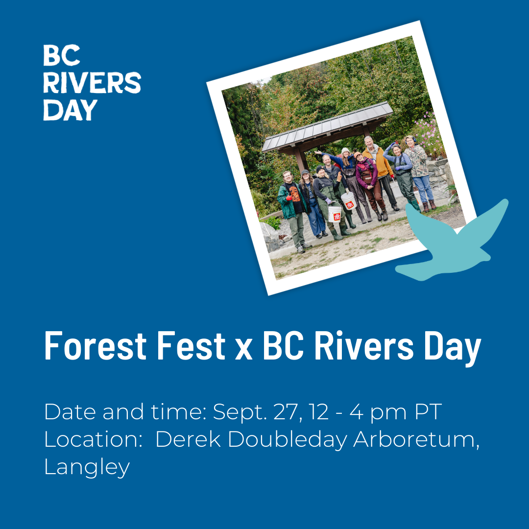 Forest Fest x BC Rivers Day