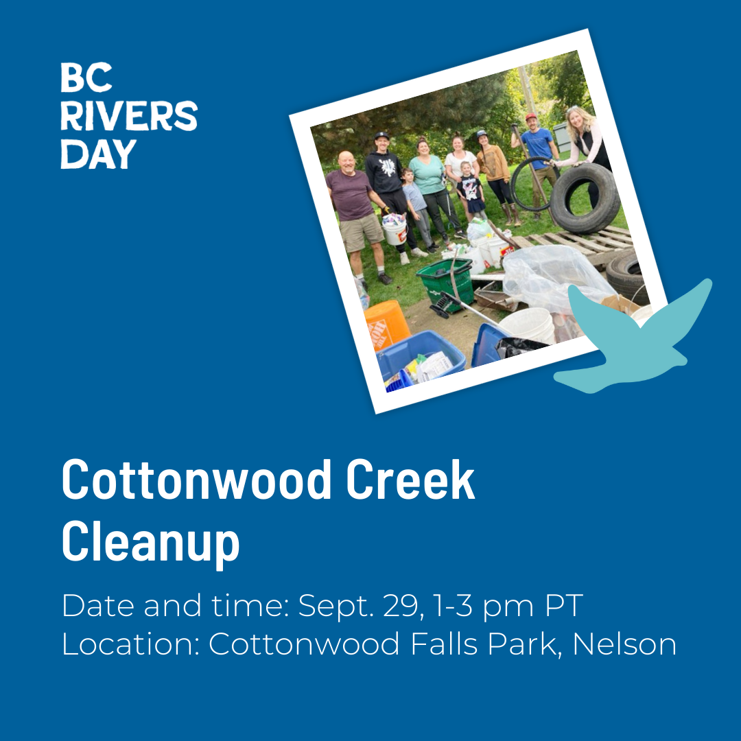 Cottonwood Creek Cleanup