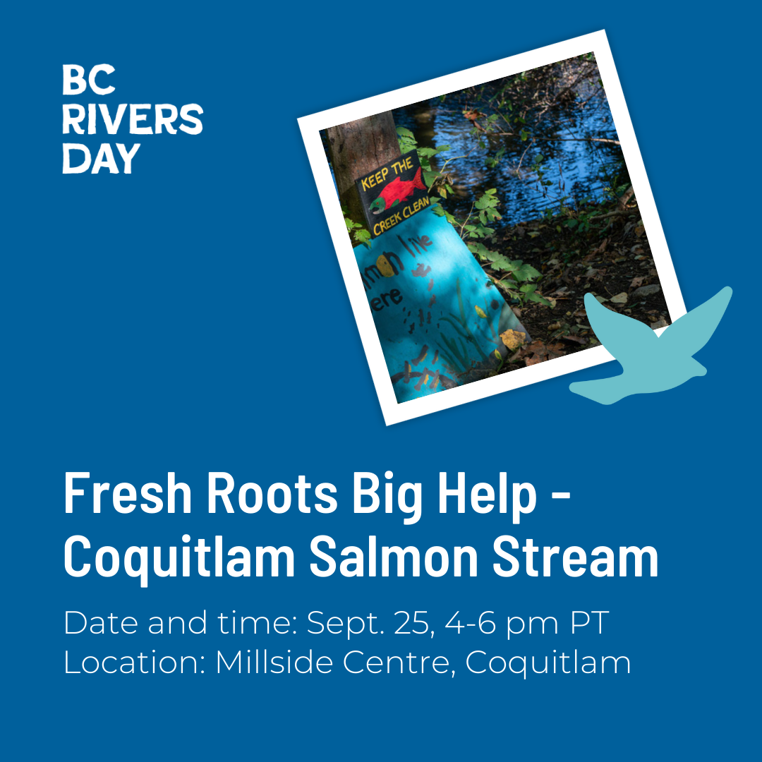 Fresh Roots Big Help - Coquitlam Salmon Stream