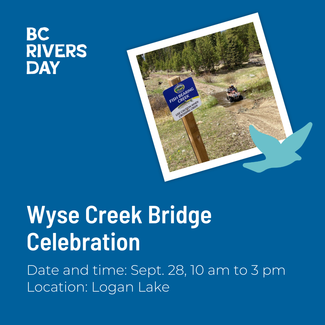 Wyse Creek Bridge Celebration