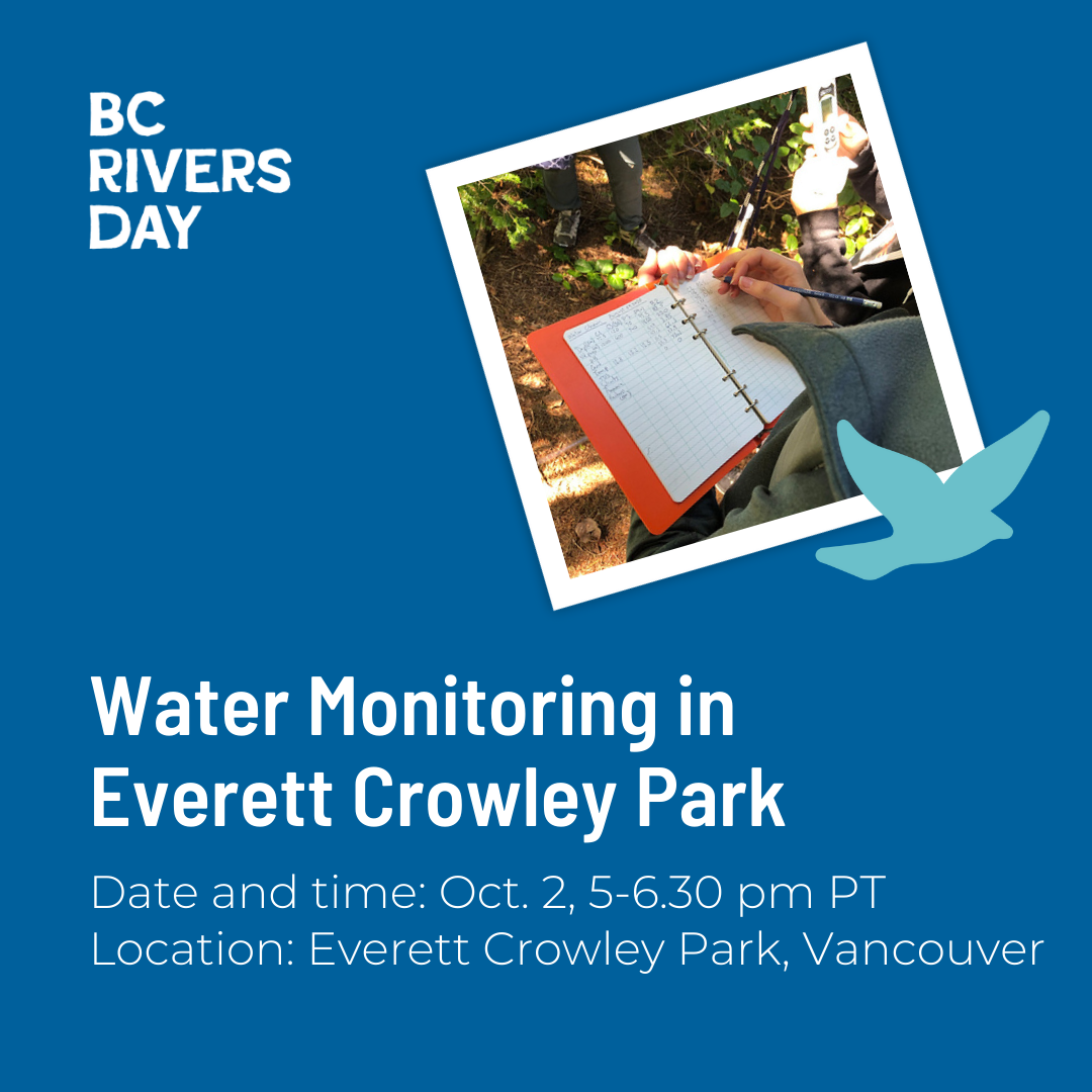 Water Monitoring in Everett Crowley Park