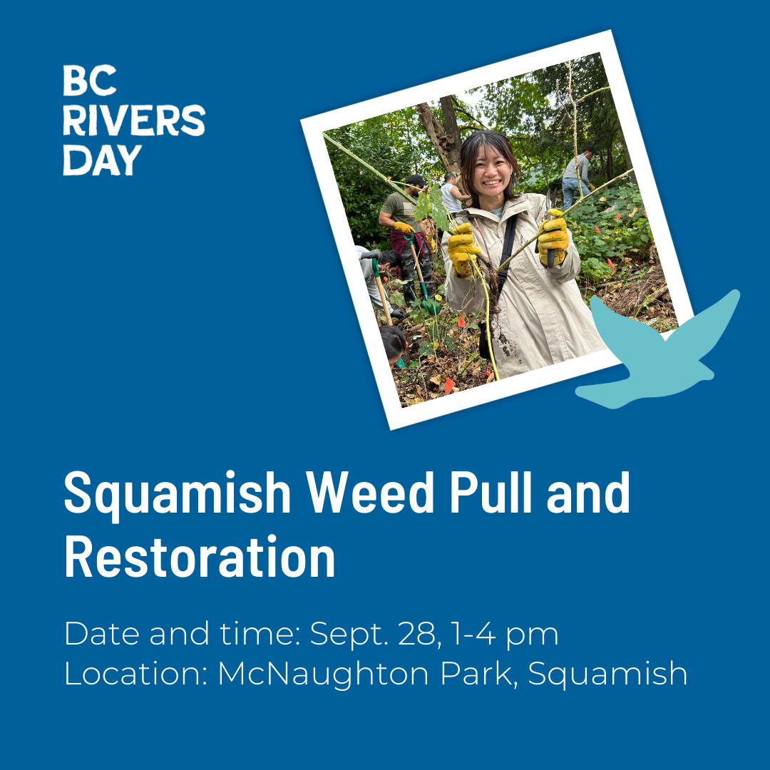 Squamish Weed Pull and Restoration