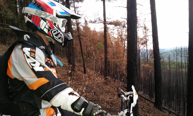 Fire’s long tail