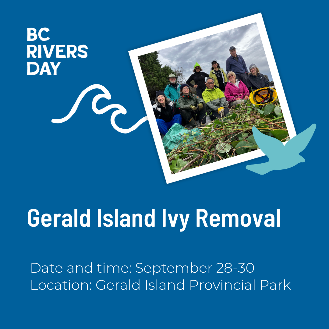 Gerald Island Ivy Removal