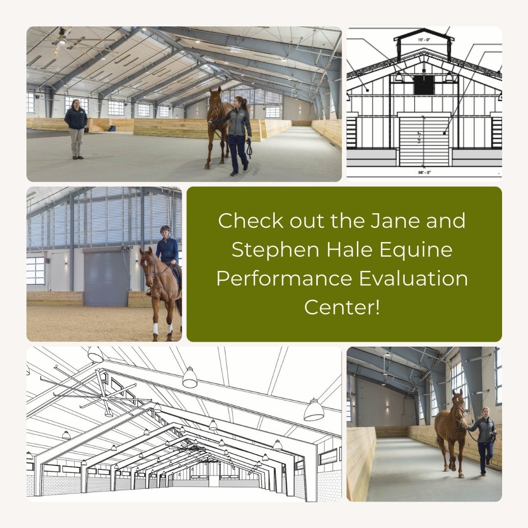 Back in 2015, Colley Architects collaborated with Virginia Tech and the Virginia-Maryland College of Veterinary Medicine's Marion duPont Scott Equine Medical Center in Leesburg, Virginia to produce initial schematic designs for the now-constructed Ja