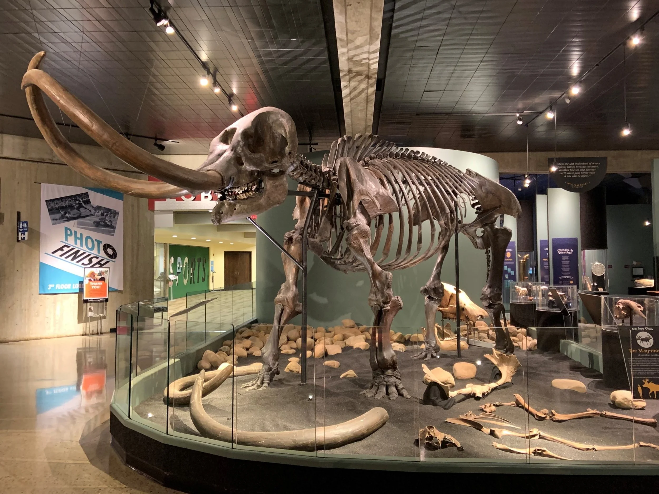 25 Fun Kids Activities In Columbus Ohio Tandem 25-fun-kids-activities-in-columbus-ohio-tandem