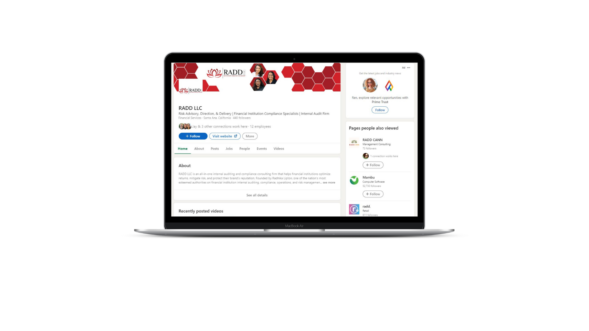 Linkedin Vixen Creative Agency Linkedin Vixen Creative Agency