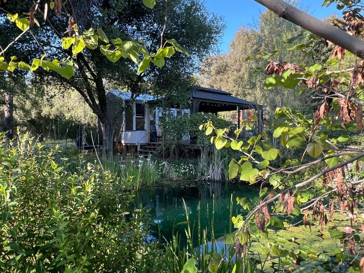Lighthouse cabin reflected beside the pond at Dragonhurst