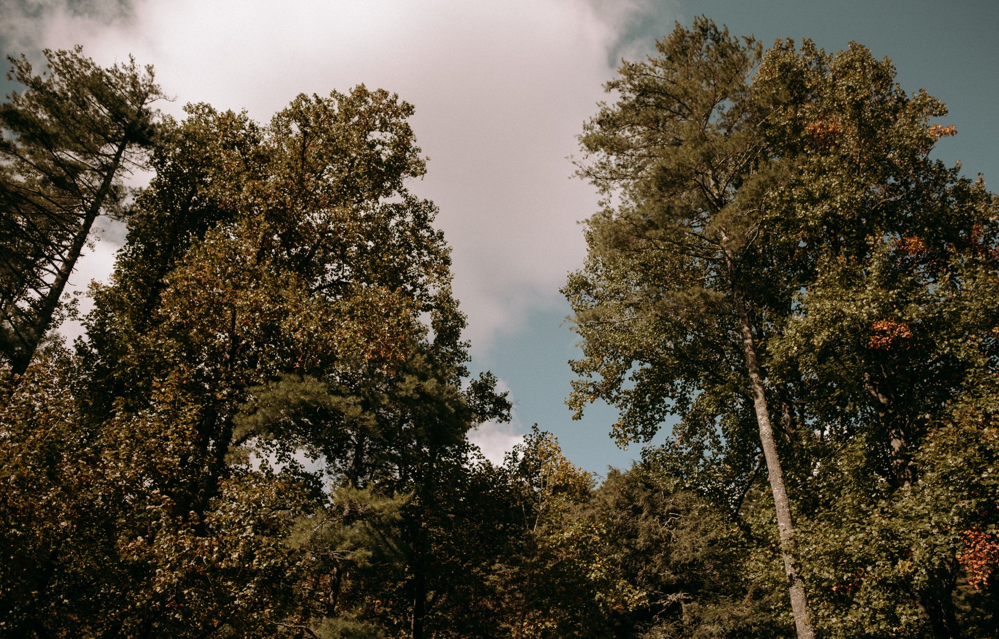 Dry Falls, Nantahala Elopement - 88