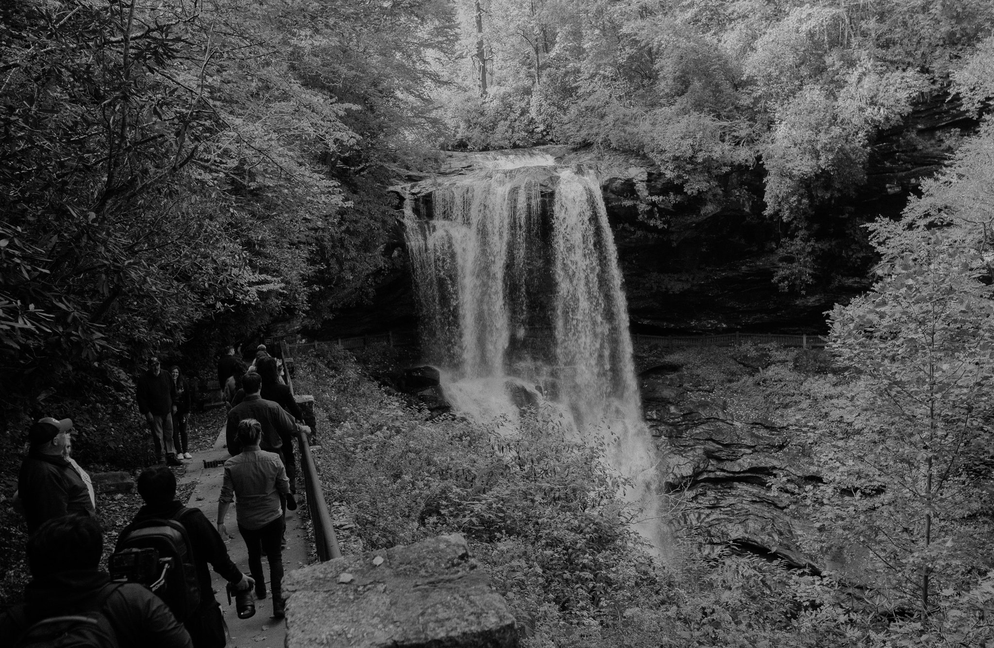 Dry Falls, Nantahala Elopement - 96