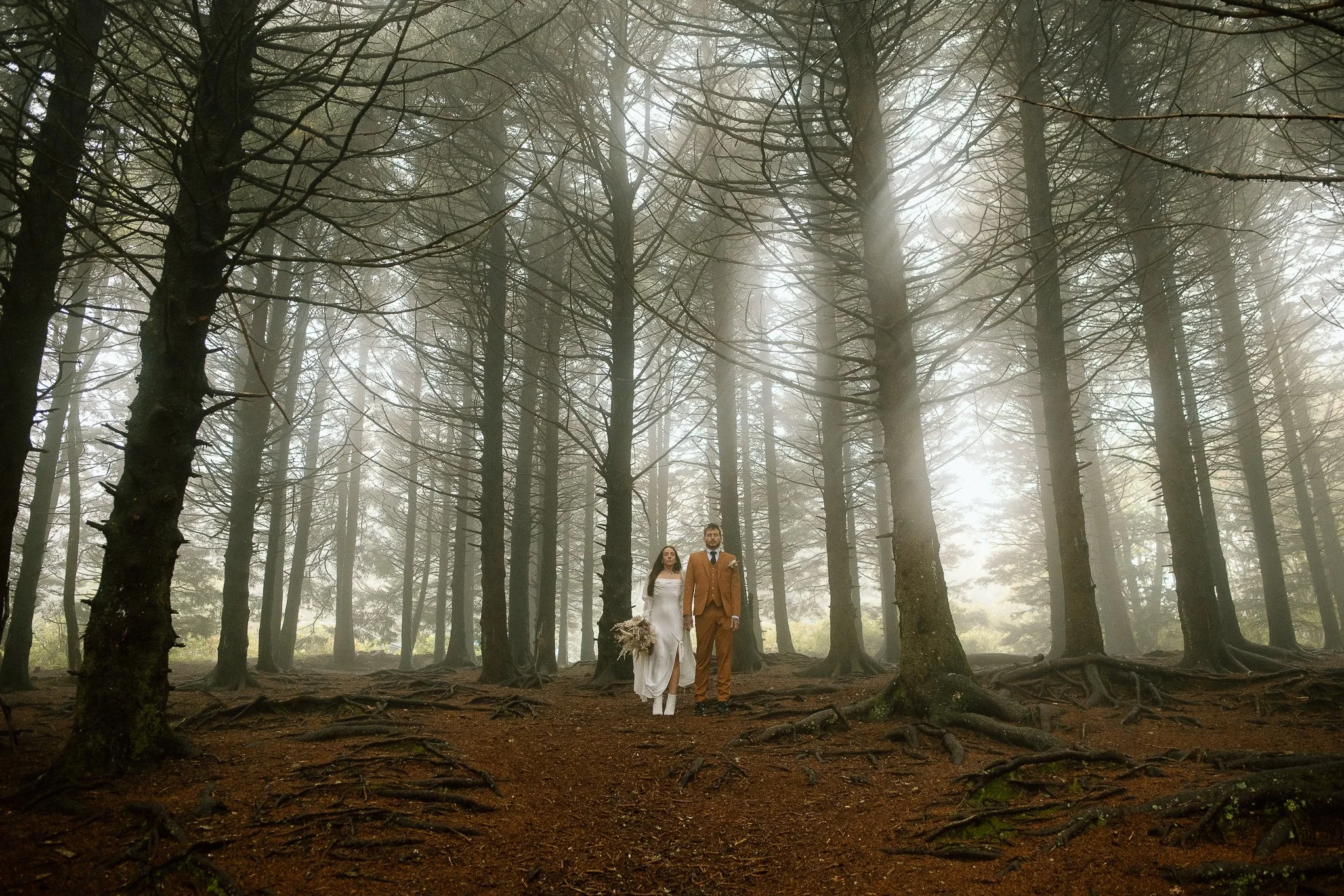 ELOPEMENTS