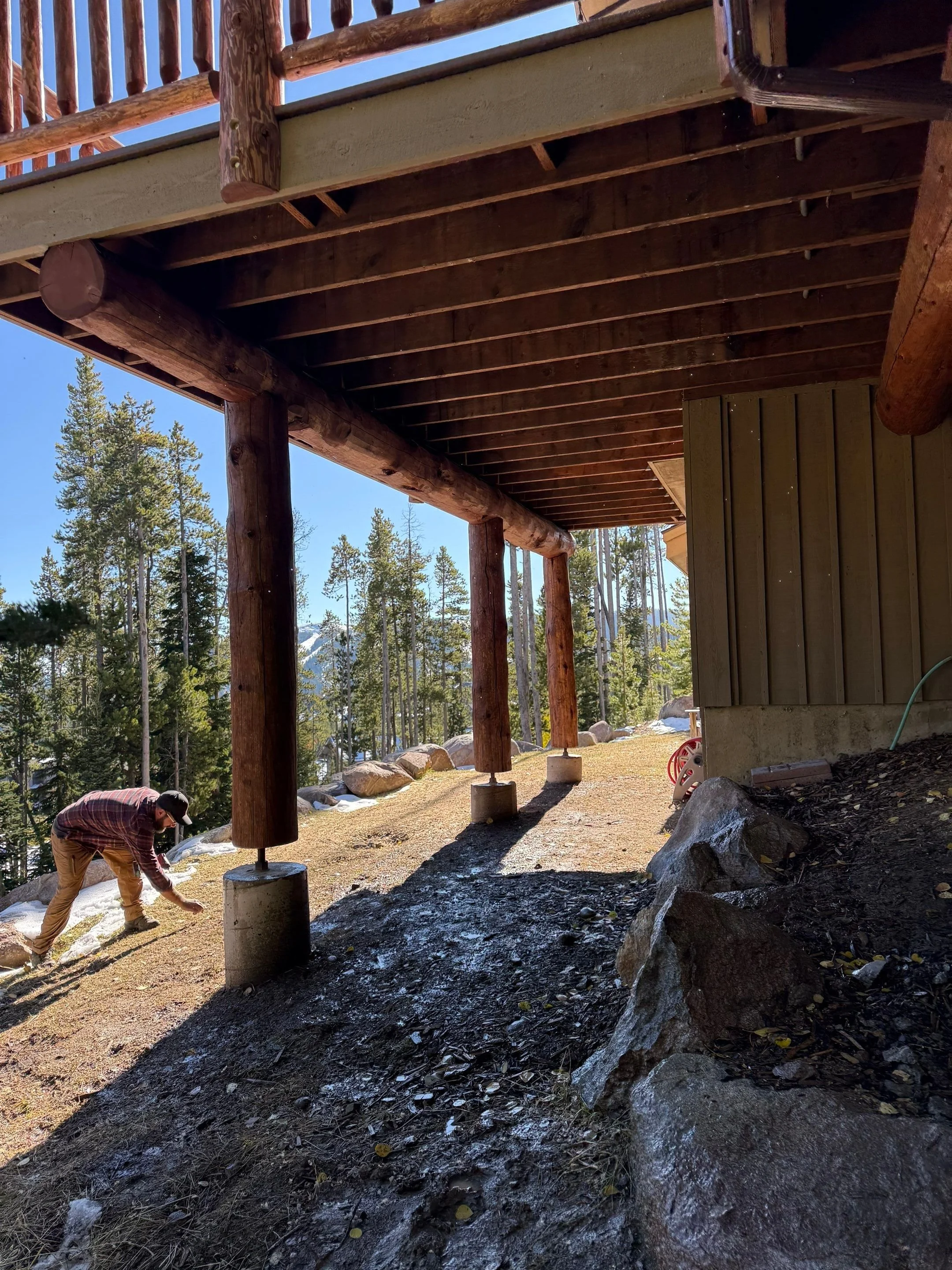 13 indian summer brackets in a row.jpg