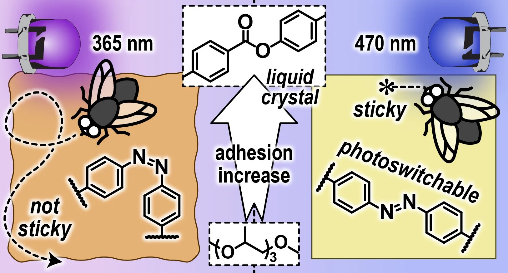 ToC_photoswitchable-adhesive_ChemMater.jpg