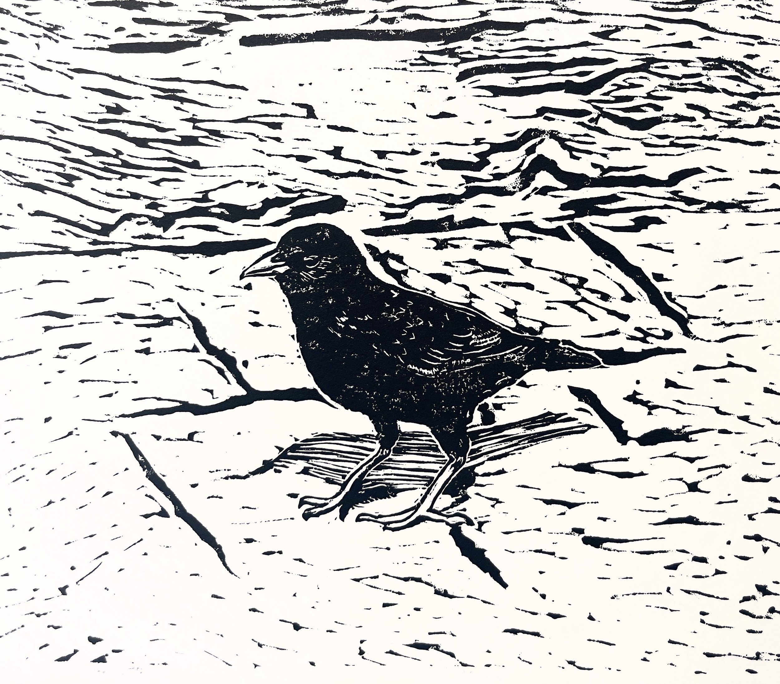 springtime strut - b+w.jpg