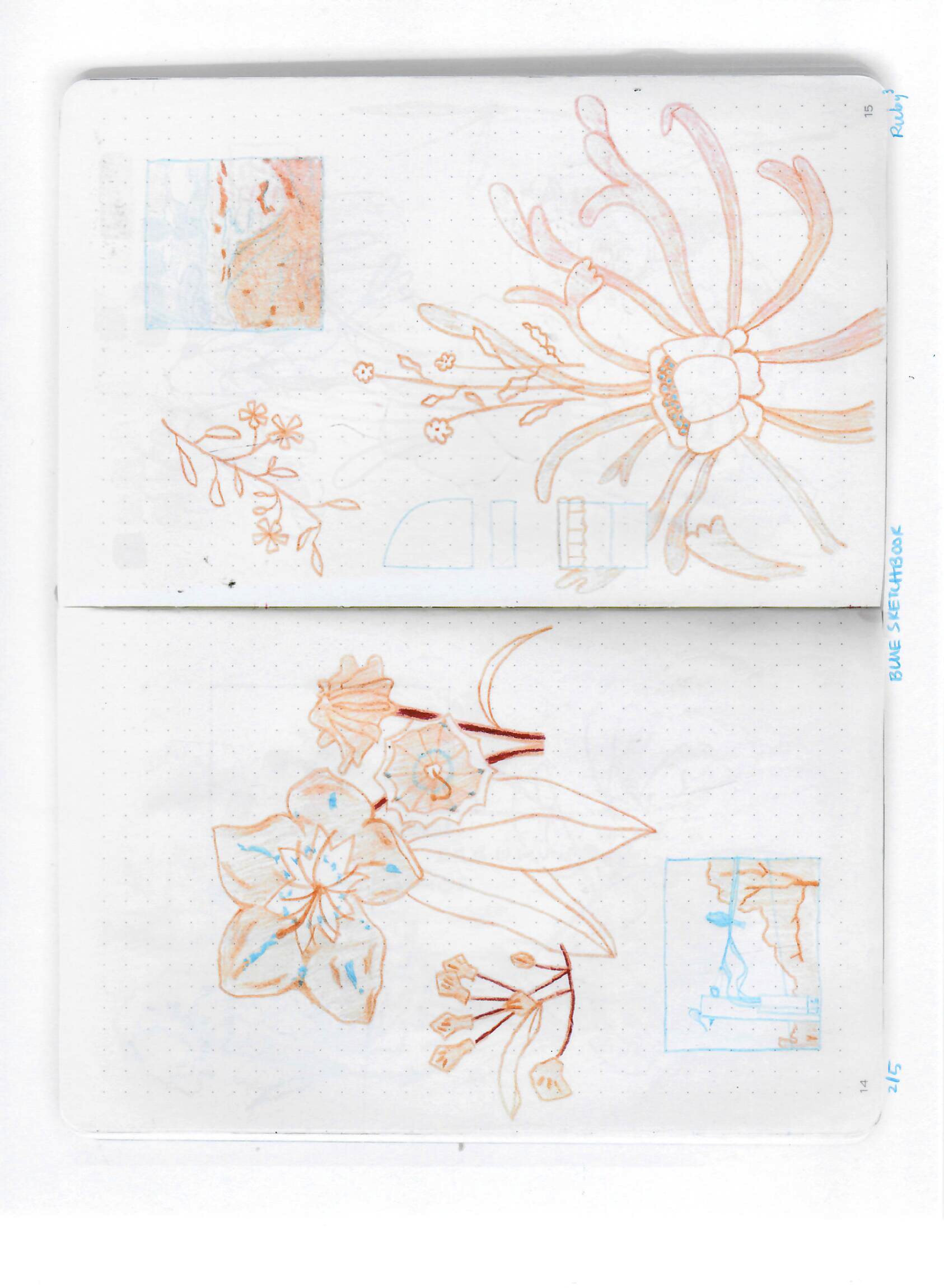 blue sketchbook 014.png