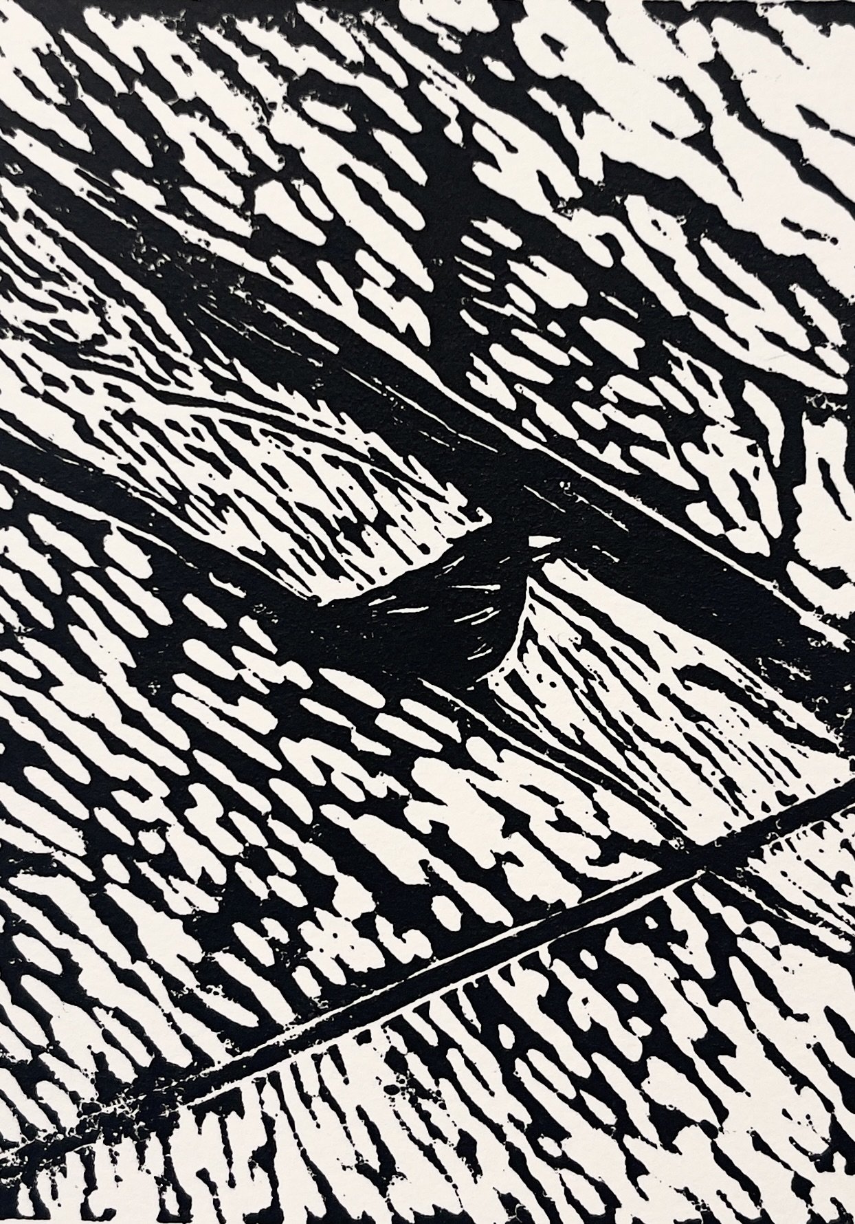 looking up - b+w.jpg