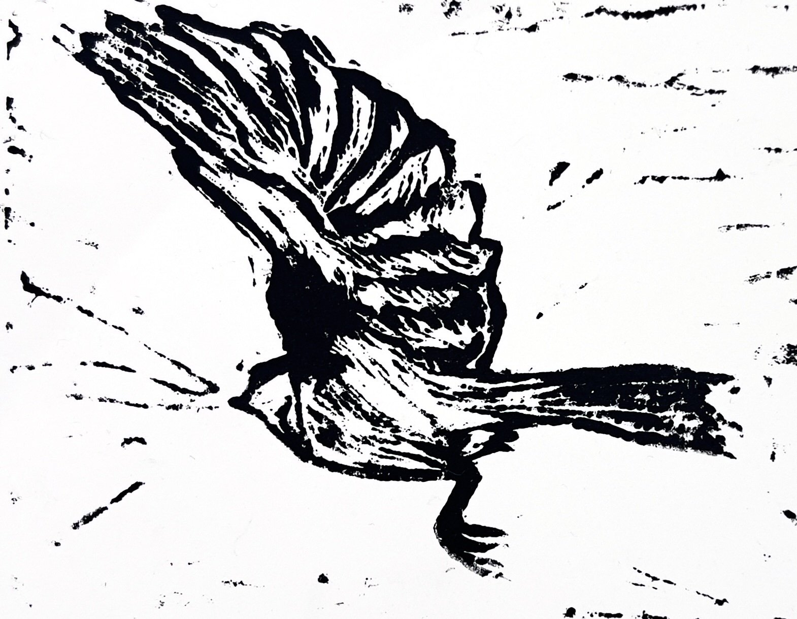 chickadee in flight.- b+w.jpeg