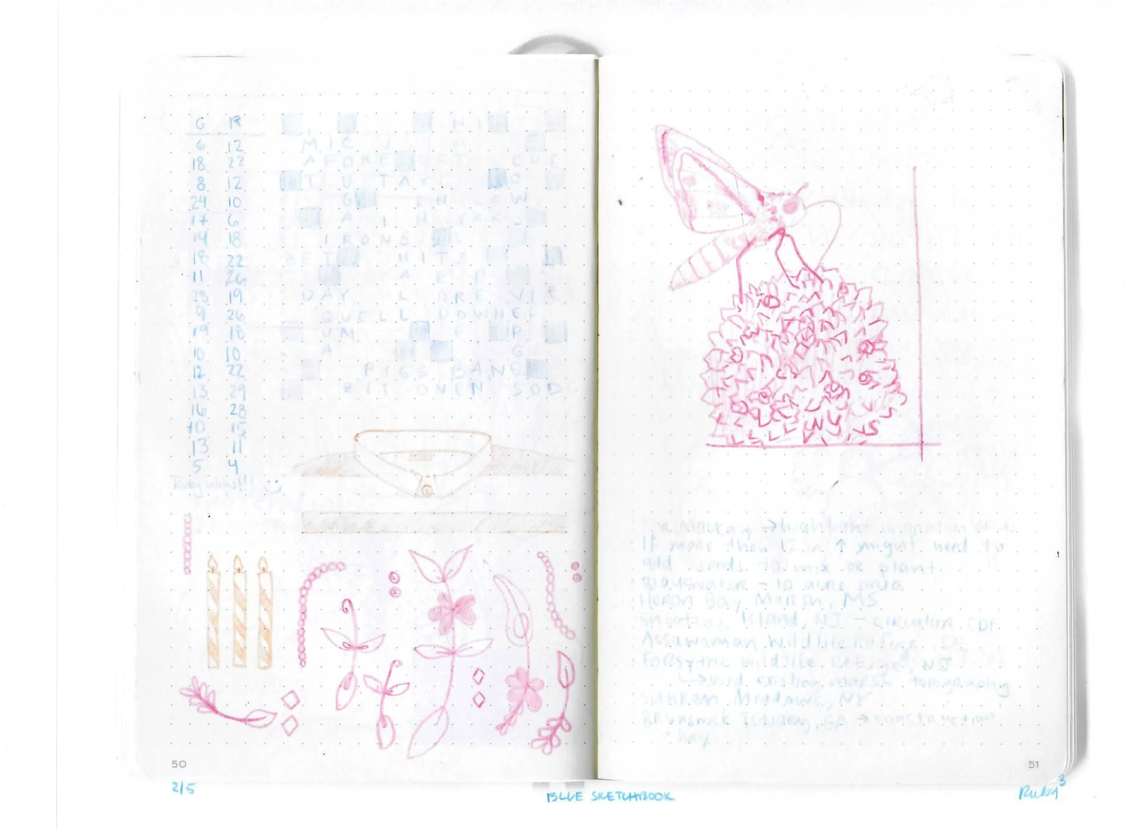 blue sketchbook 050.jpg
