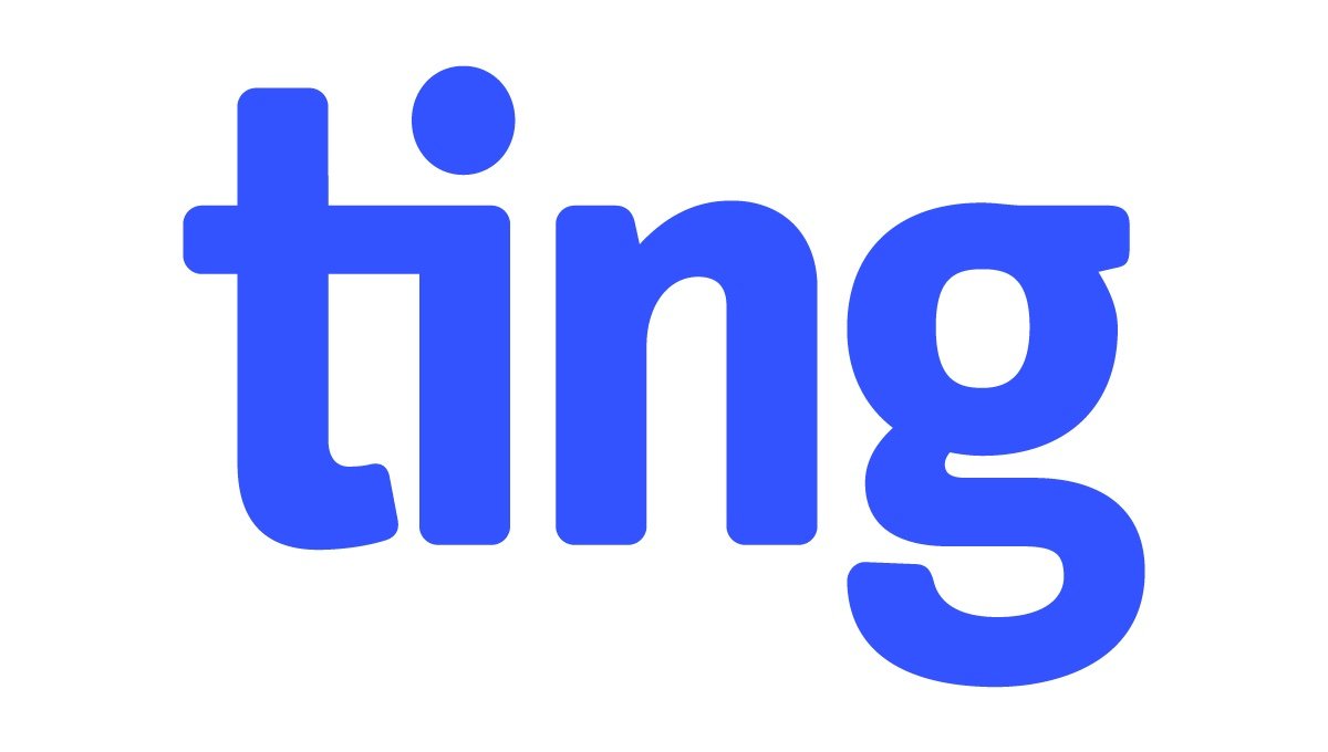 Ting_Logo_Primary-web - Sarah Franklin.jpg