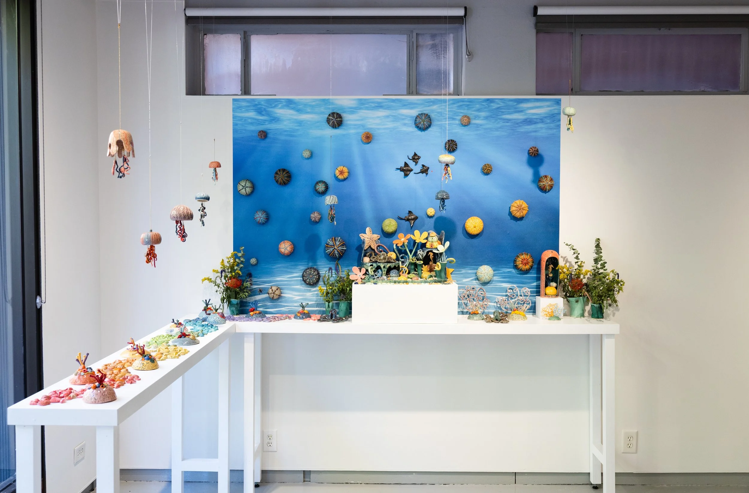 NewCity_EmmaTerry_10Aug2026_ByTomDaly-1.jpg