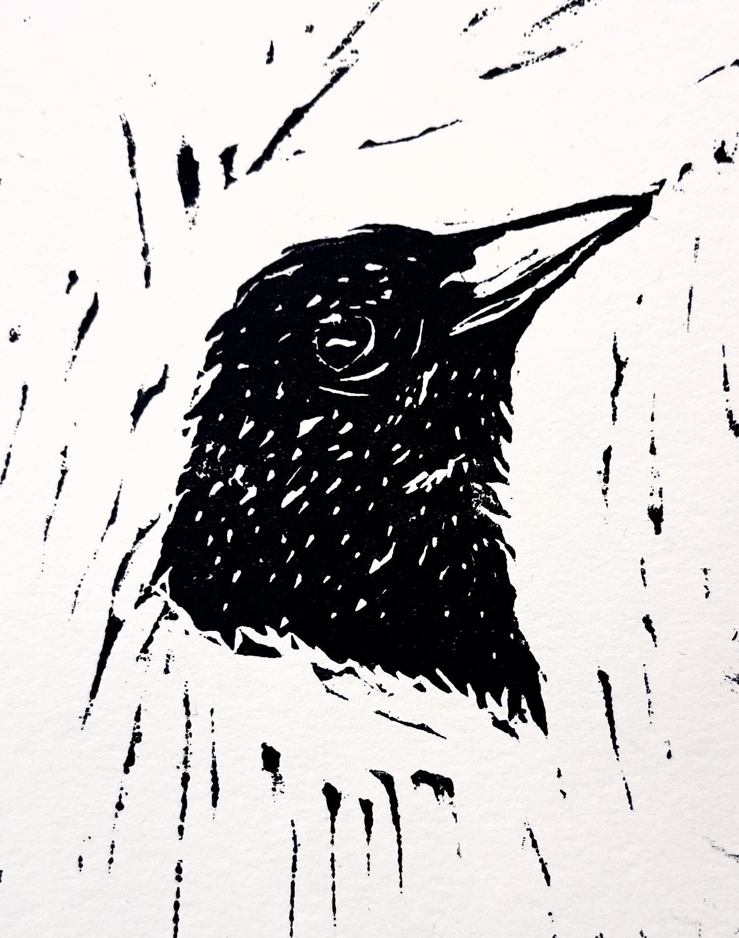starling in fall b+w.jpg