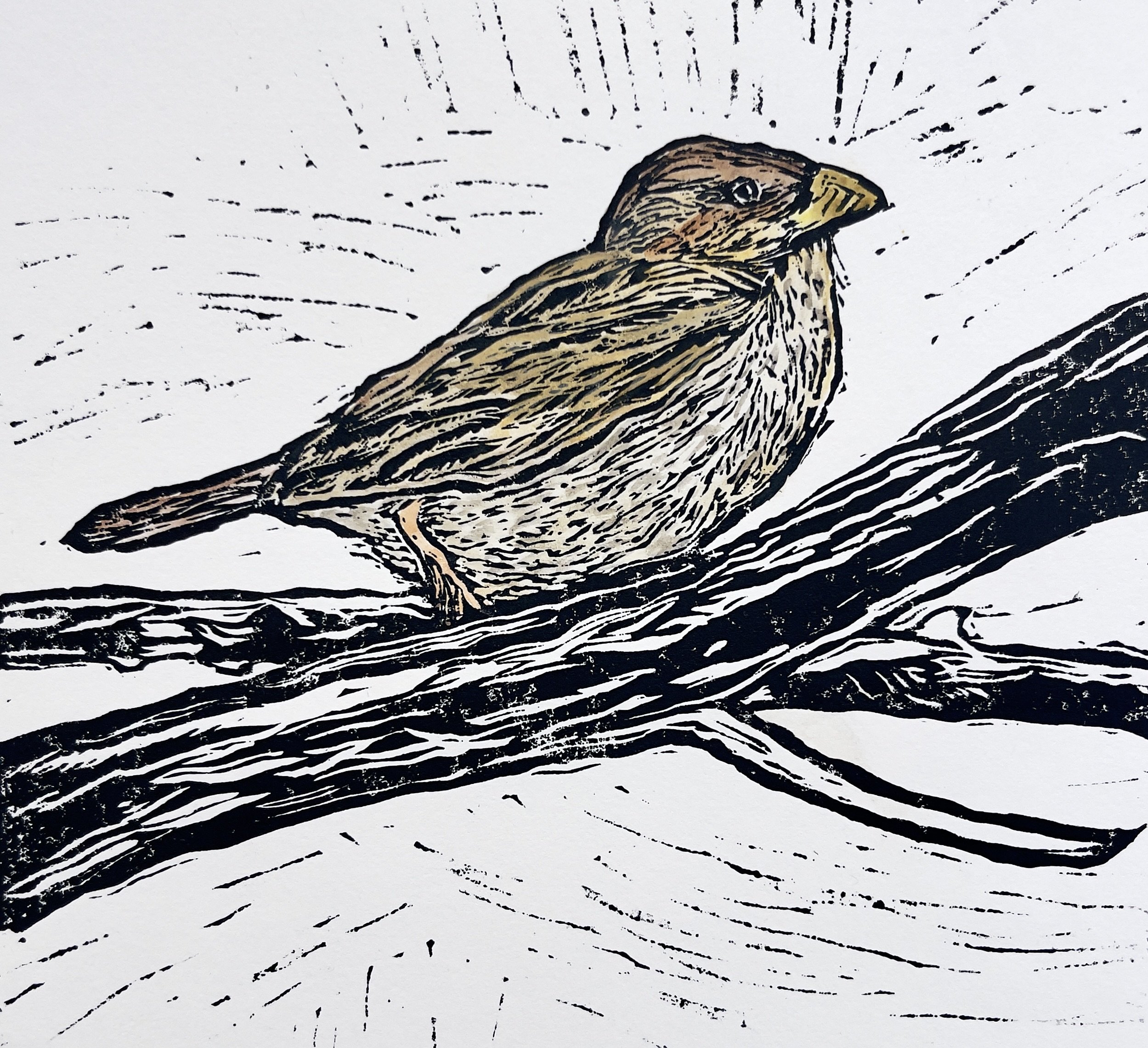 parking lot perch - watercolor.jpg