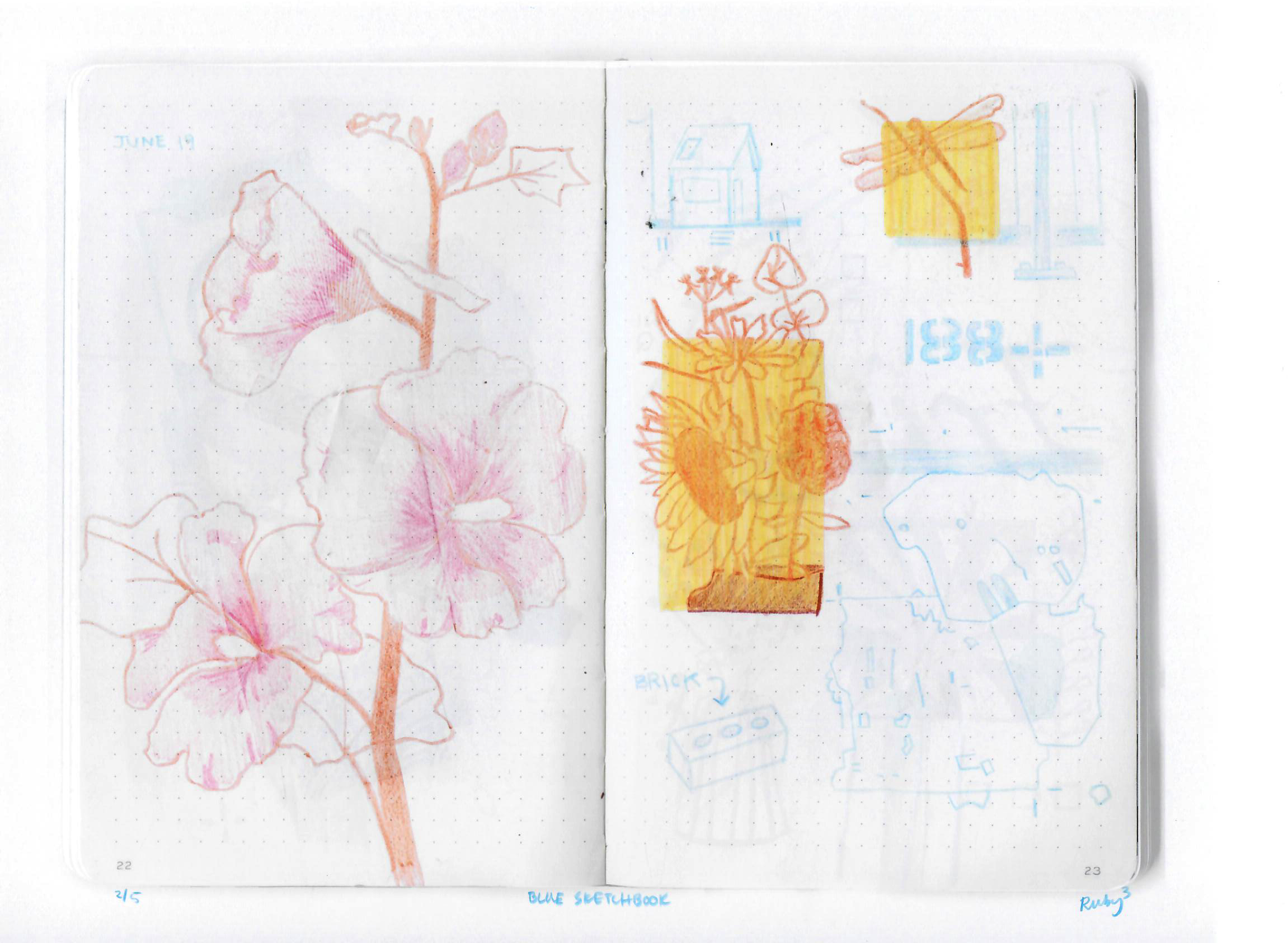 blue sketchbook 022.png