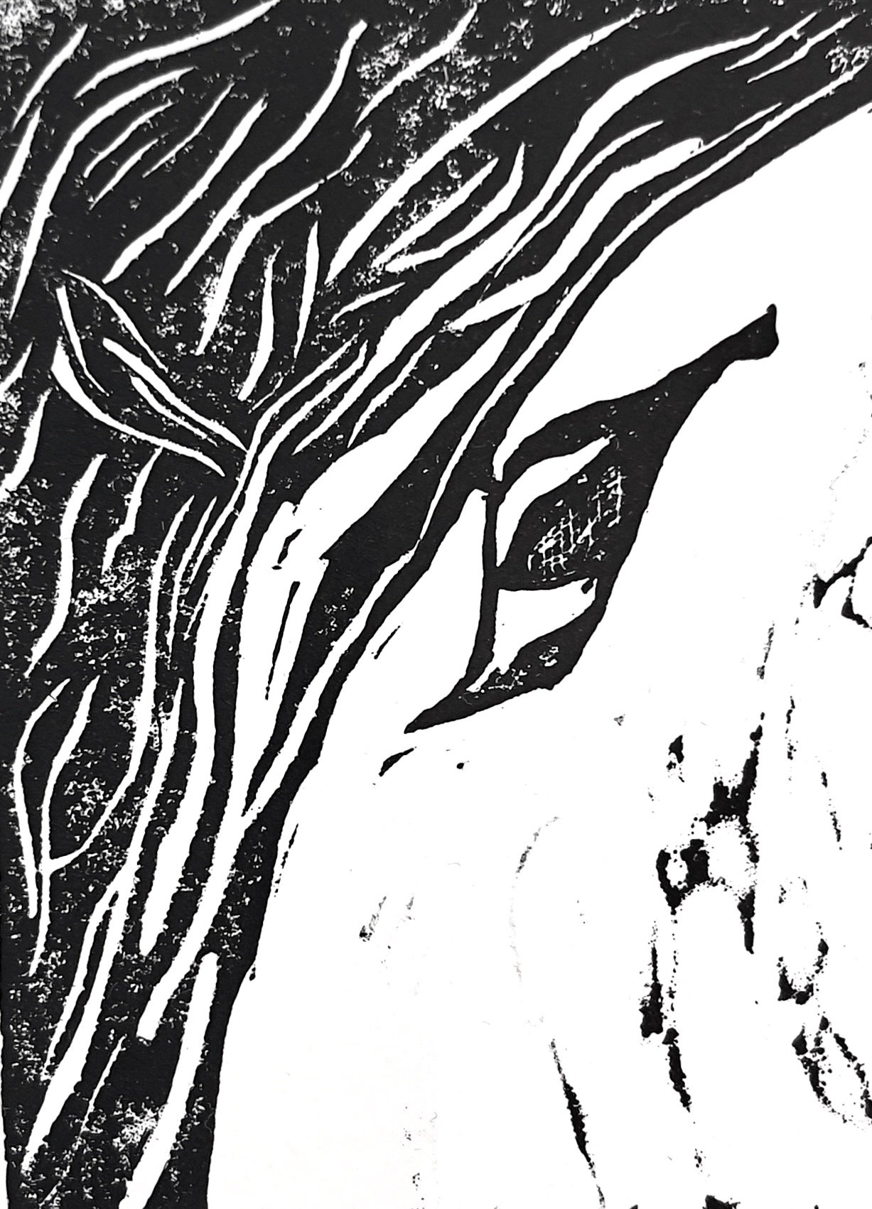 the idea of a nuthatch - b+w.jpg