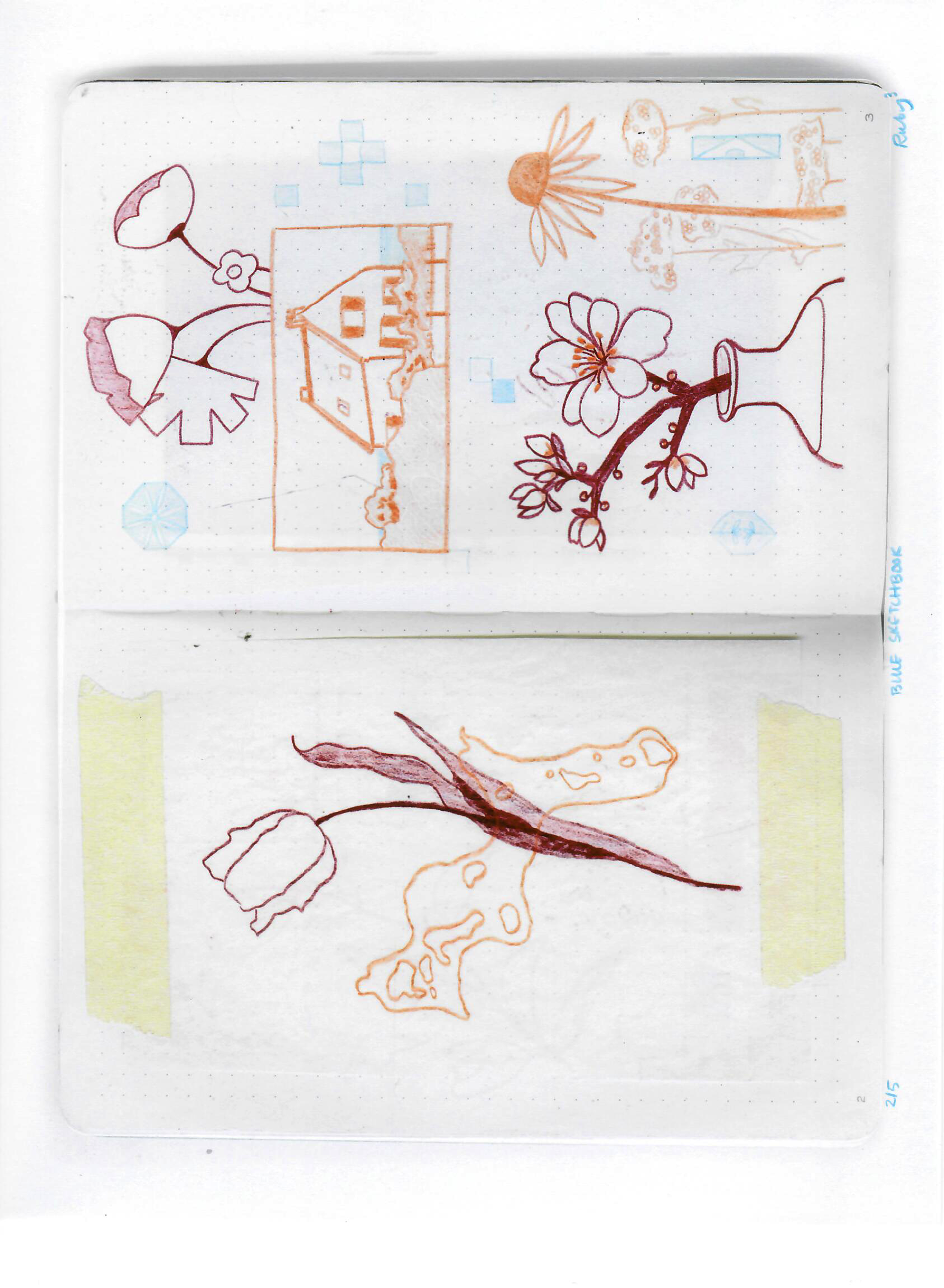 blue sketchbook 002.png