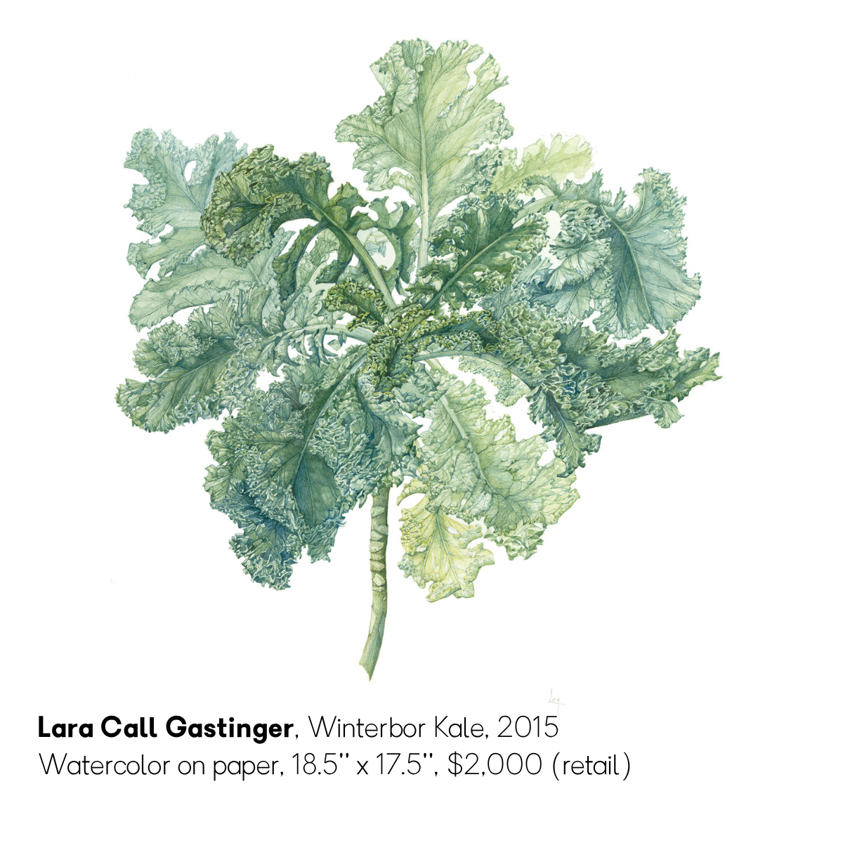 Lara Call Gastinger | Live Auction