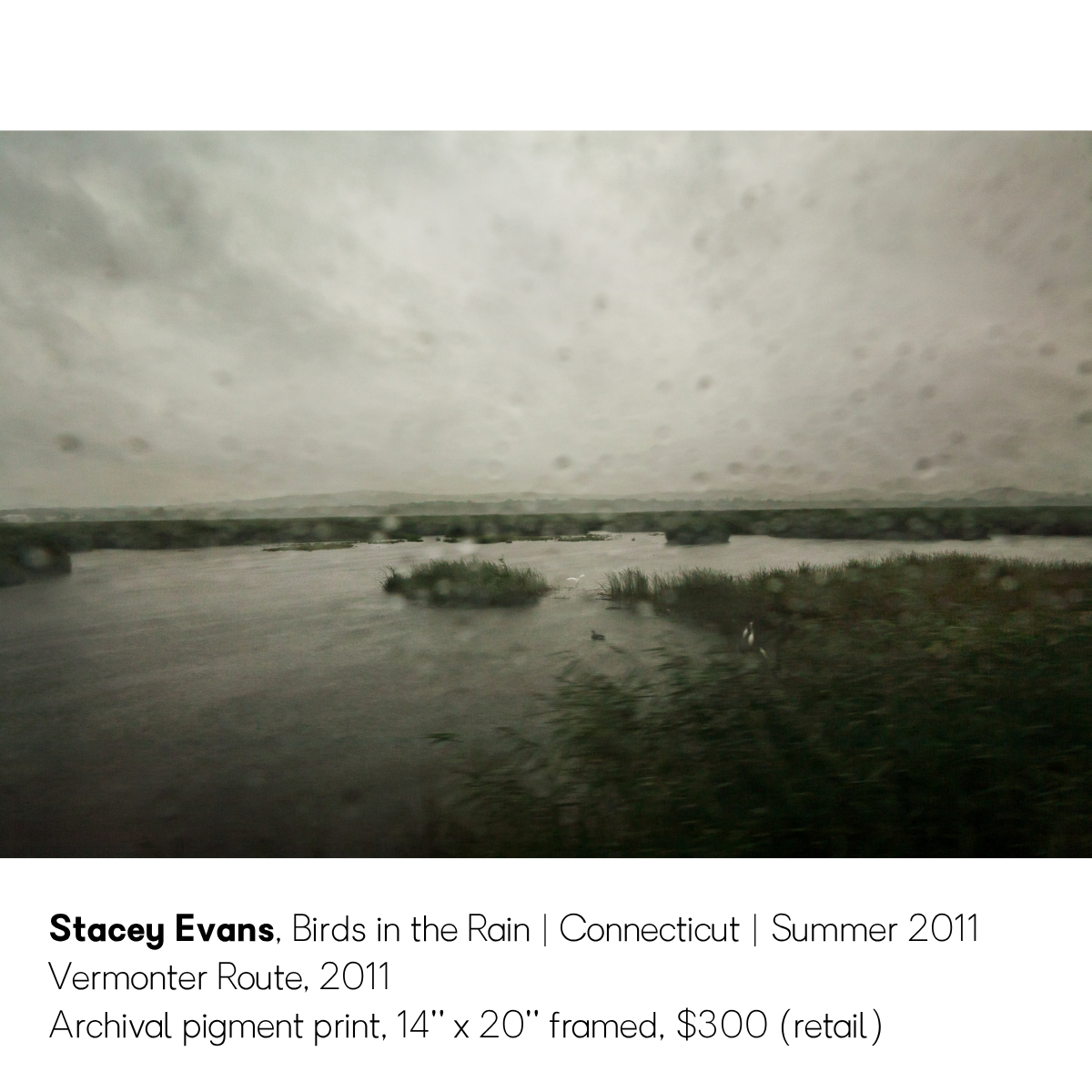 Stacey Evans | Silent Auction