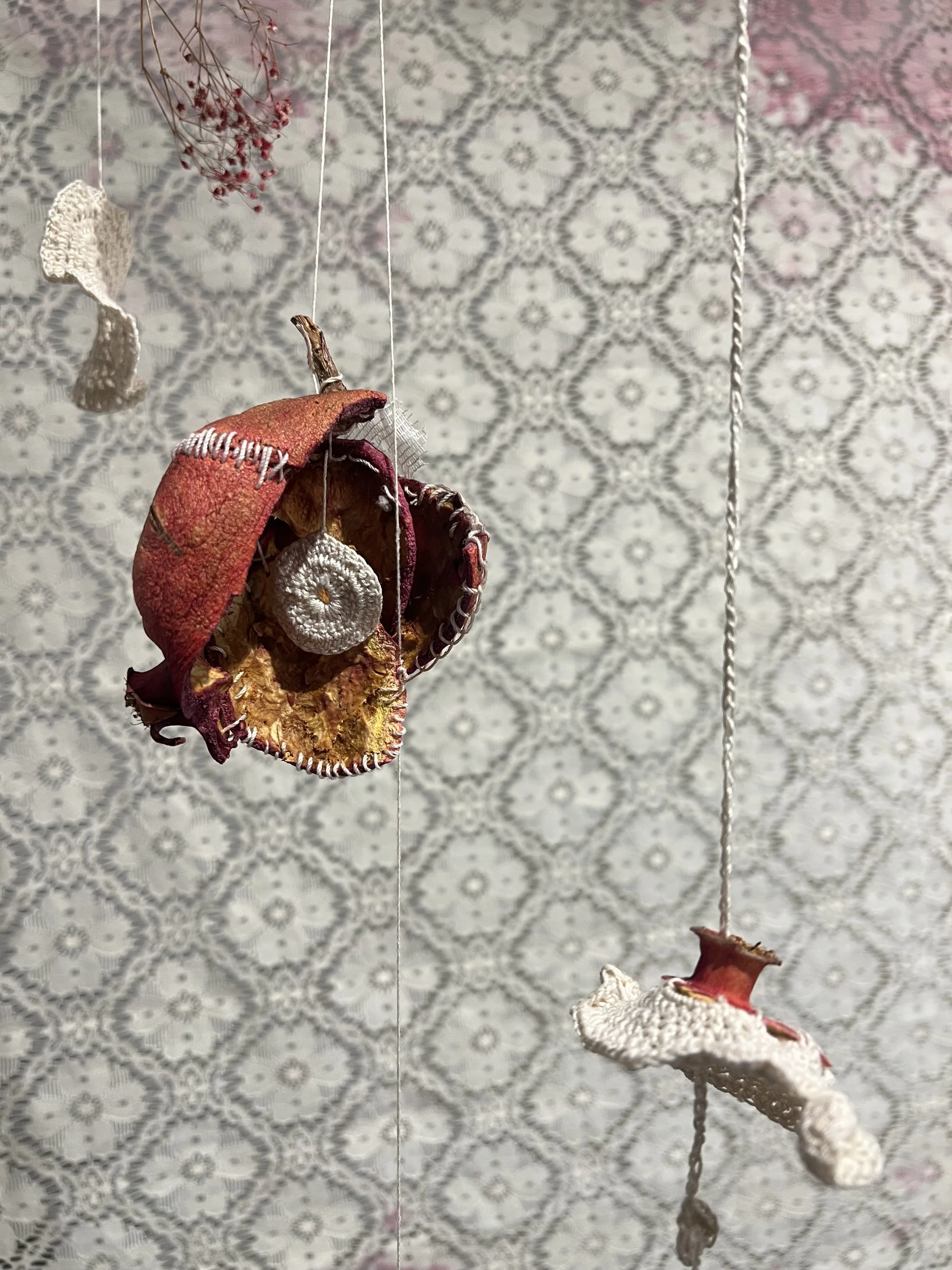 Co-Working at Welcome Gallery | January 2026