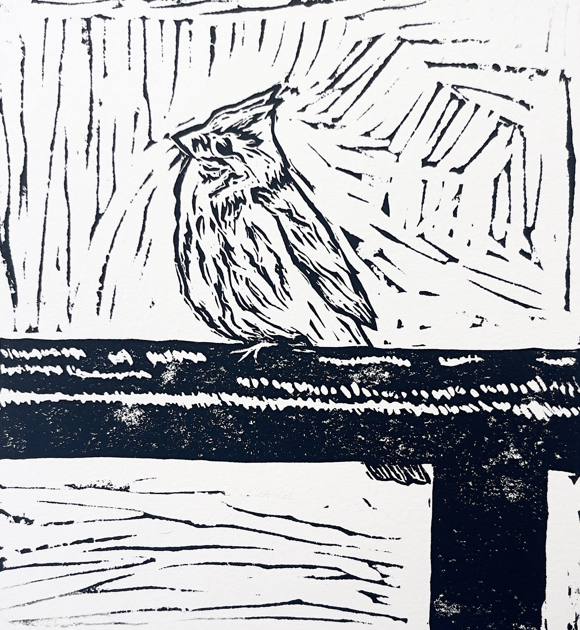 parking lot perch - b+w.jpg