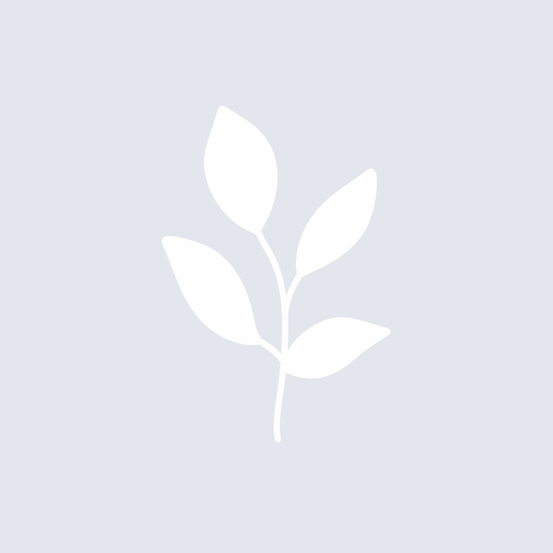 Branch & Pyre Cremation Care