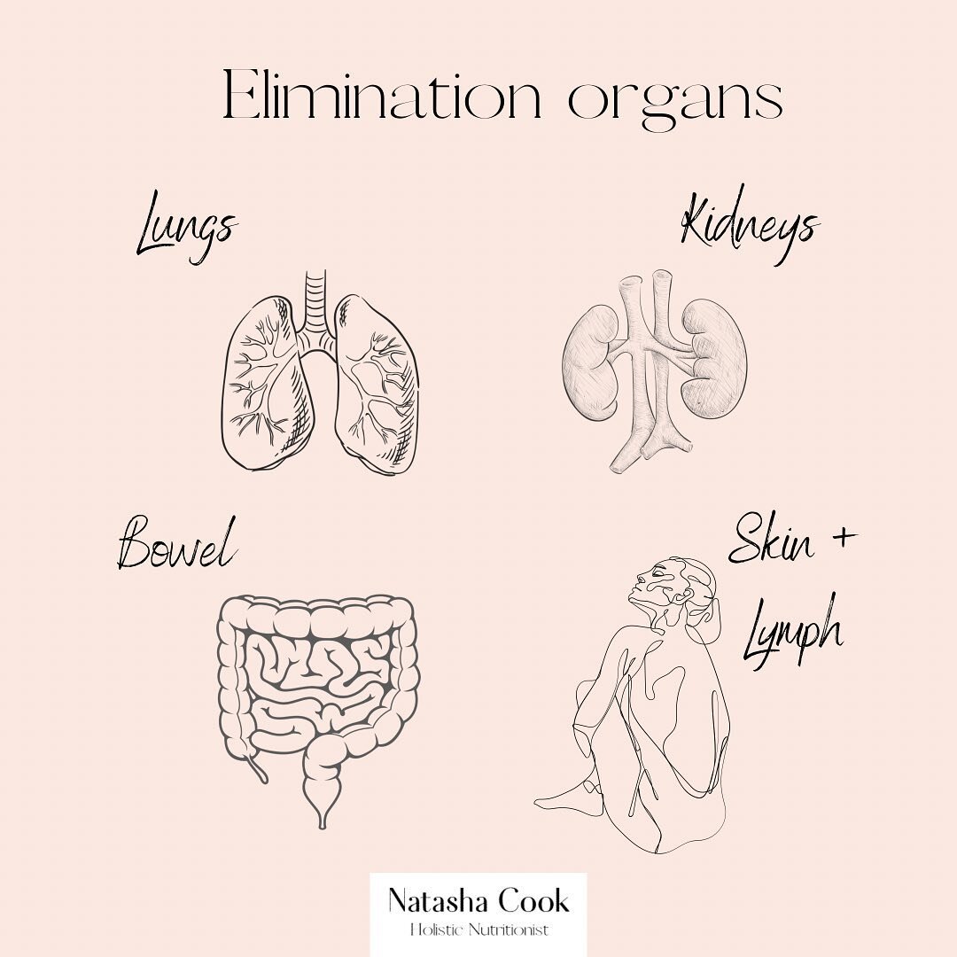 The body is exposed to many toxins on a daily basis. The elimination organs work hard to remove these toxins from the body. These organs work in tandem with one another. The main one being the bowel and when this becomes backed up or is not functioni