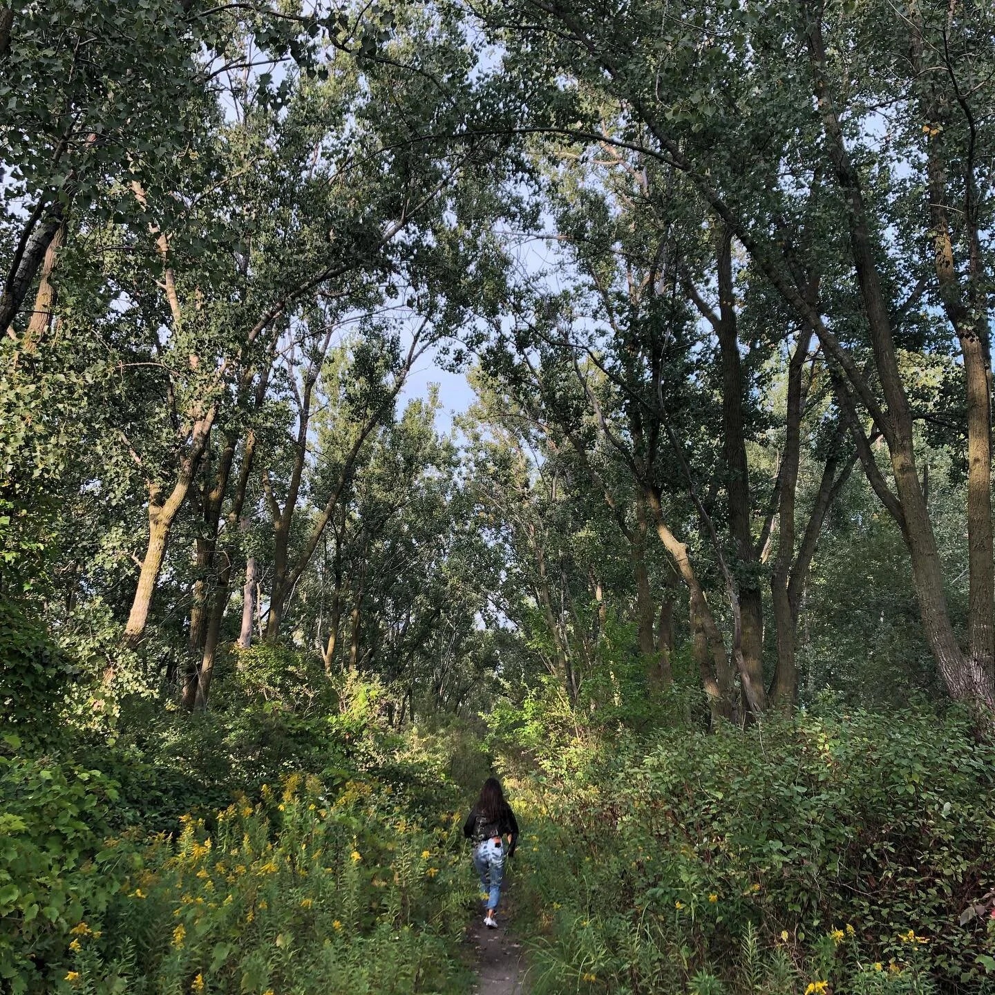 What is your favourite form of movement? For me, it&rsquo;s exploring. Get me under some trees and into the depths of nature and I&rsquo;m my happiest. 

However, that&rsquo;s not always possible living in the city. SO, I do my best to try and escape