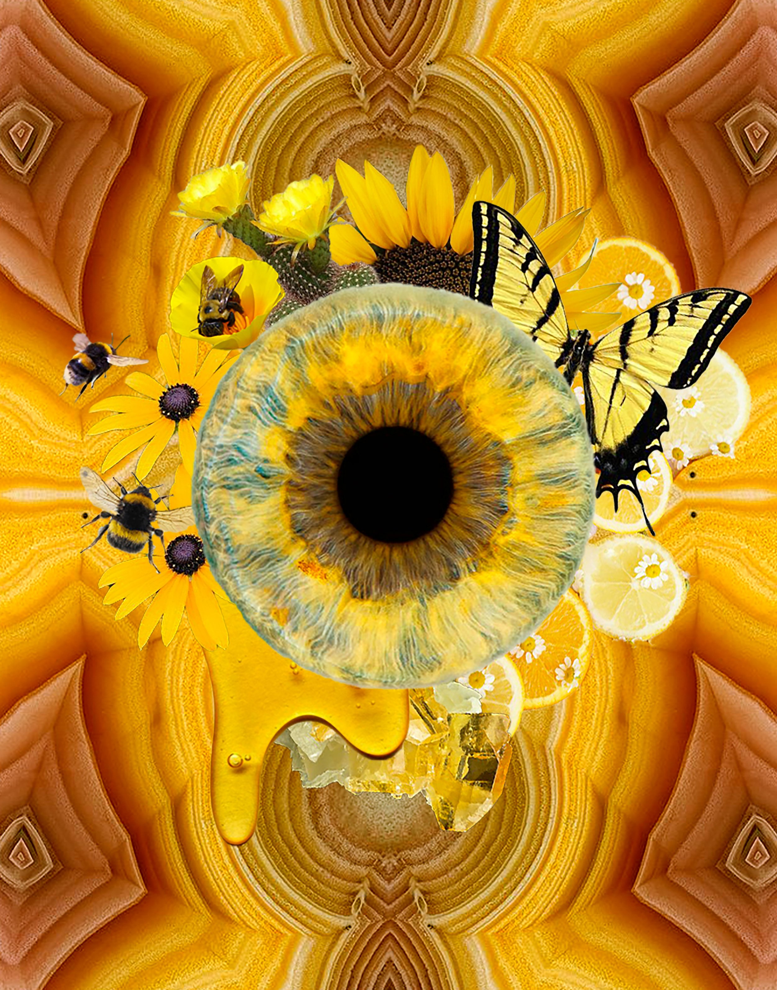 Solar Plexus Chakra v2-2.jpg