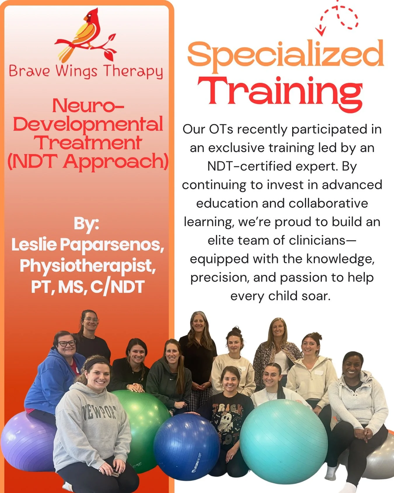✨At Brave Wings, we believe that investing in our team means investing in the highest quality care for our families.

Our OTs recently participated in an exclusive training led by an NDT-certified expert, Leslie Paparsenos, Physiotherapist, PT, MS, C