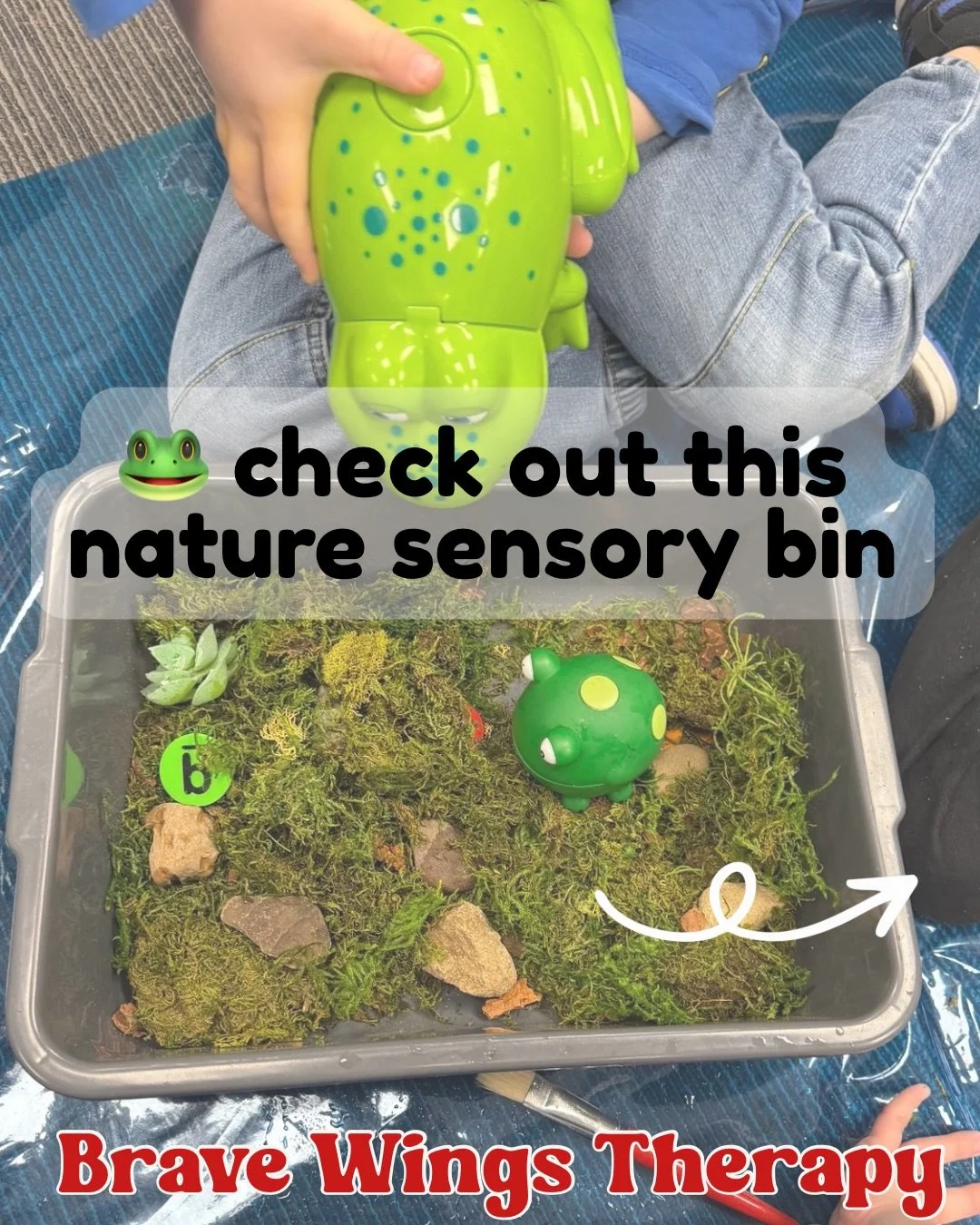 🐸🌿 Learning comes to life through PLAY.

This week at Brave Wings Therapy, we explored frogs through a hands-on sensory bin filled with real moss, grass, rocks, and nature-inspired textures. What looked like &ldquo;just play&rdquo; was actually sup